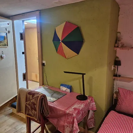 Stiffler-huus 3* 达沃斯