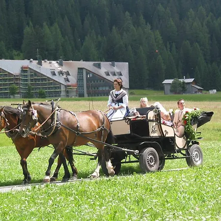 Bed and breakfast Stiffler-huus 3*