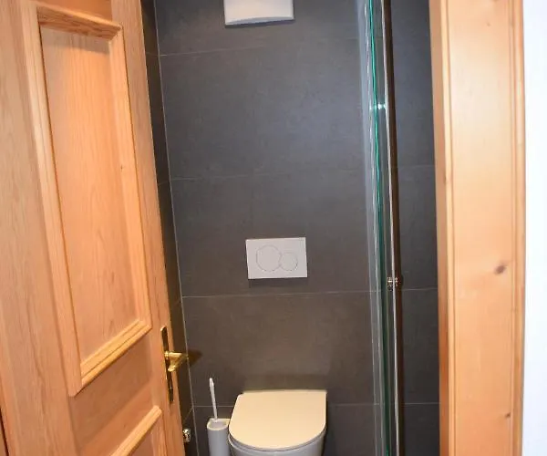 Stiffler-huus 达沃斯