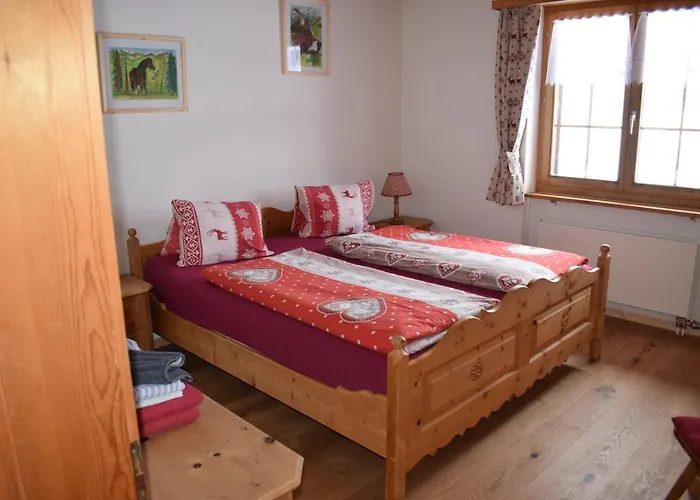 Stiffler-huus 3* 达沃斯