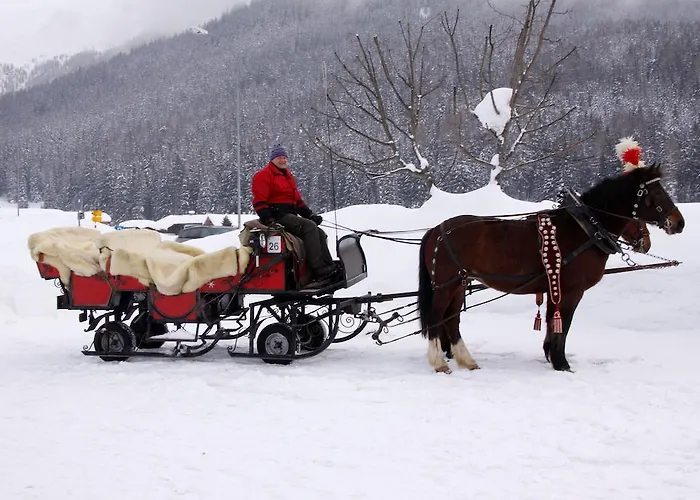 Stiffler-huus 达沃斯