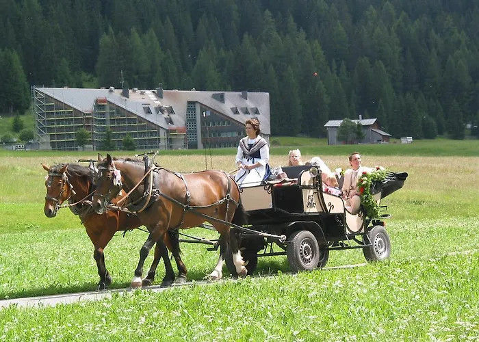 住宿加早餐酒店 Stiffler-huus 3*